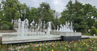 Как да се отървем по-навреме от досадните отпадъци?
