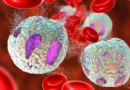 Учени определиха два ключови етапа на стареене на имунната система