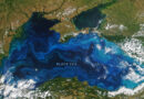 Международен ден на Черно море: 7 интересни факта по случай 31 октомври