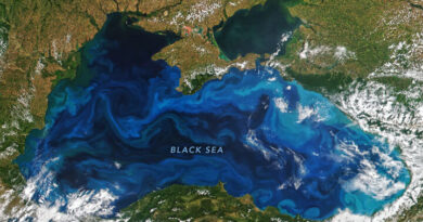 Международен ден на Черно море: 7 интересни факта по случай 31 октомври