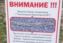 Община Стара Загора продължава мерките срещу боровата процесионка с грижа за природата